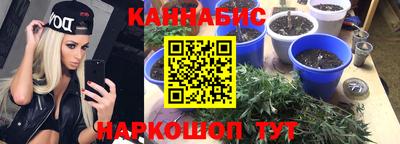 эйфоретик Будённовск