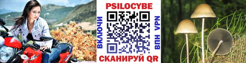 наркота  Краснокаменск  Галлюциногенные грибы мицелий 