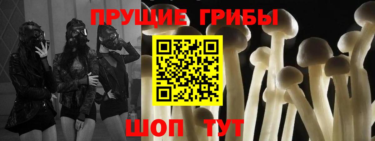 сколько стоит  Псилоцибиновые грибы ЛСД  Вход с VPN  Краснокаменск 